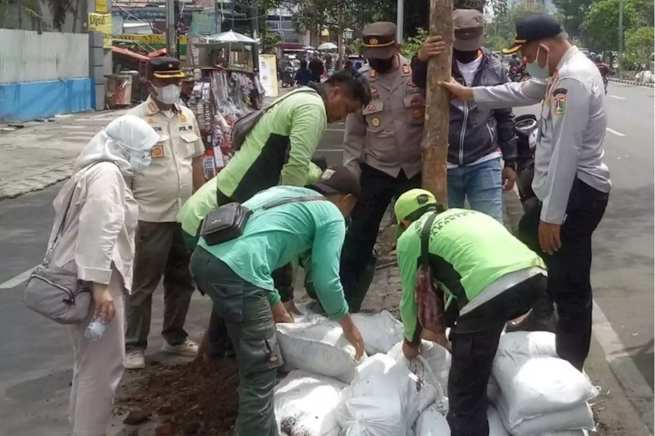 Pemkot Jakbar Minta PKL Rawat Pohon di Jalan Mangga Besar