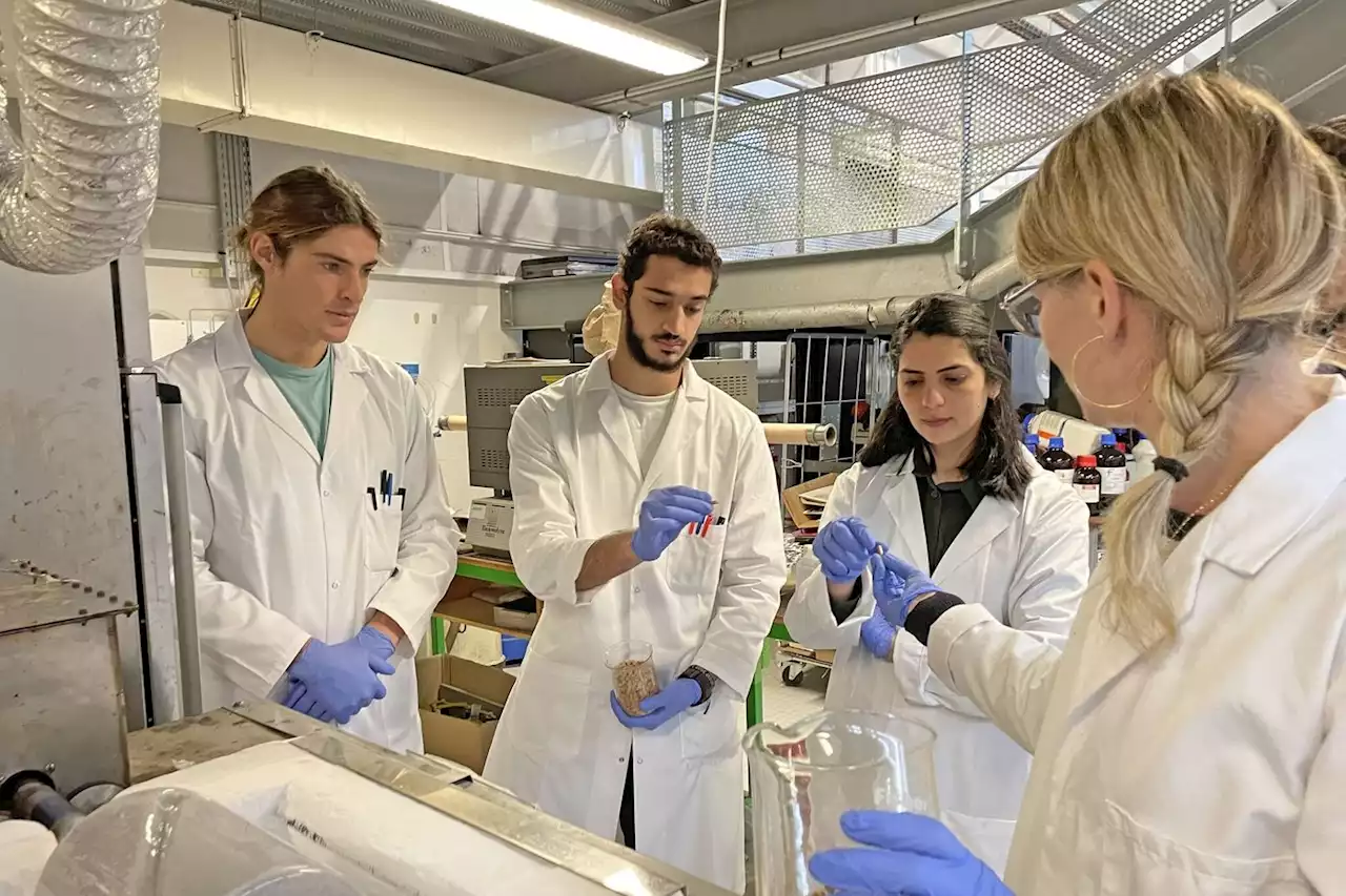 À Nantes, une école d’ingénieurs veut inventer un avenir plus vert