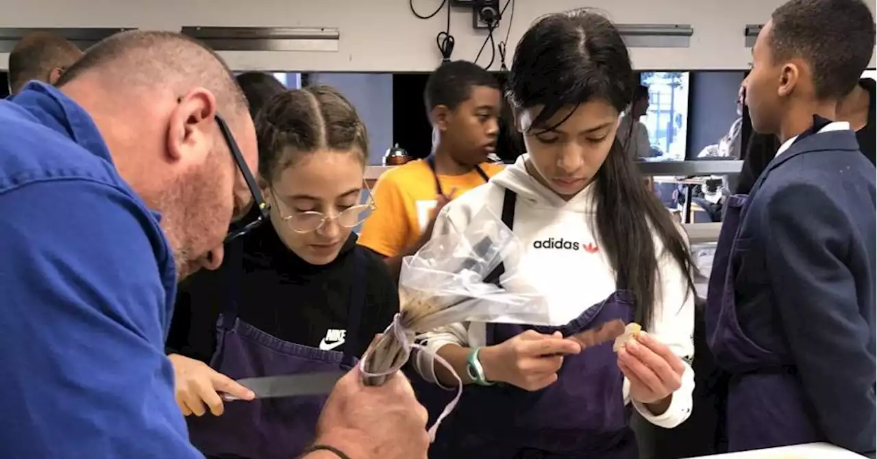 Marseille : un repas solidaire mitonné par les enfants de Félix-Pyat