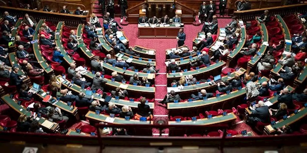 Tirs de barrage au Sénat contre la taxe sur les superprofits