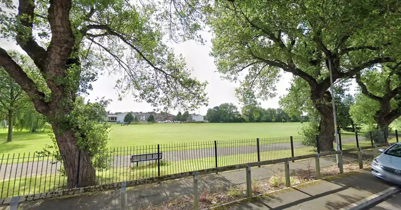 'Aggressive' dog tasered after attacking woman with park evacuated