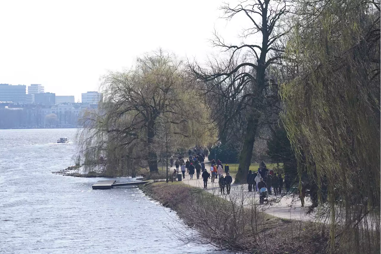 Schluss mit Bibbern? So wird das Wetter in Hamburg