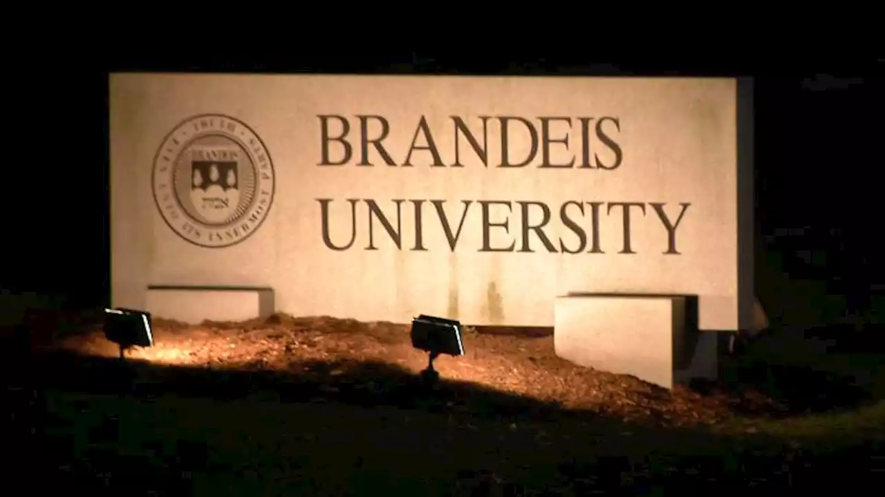 Brandeis Bus Crash: Read DA's, University's Full Statements