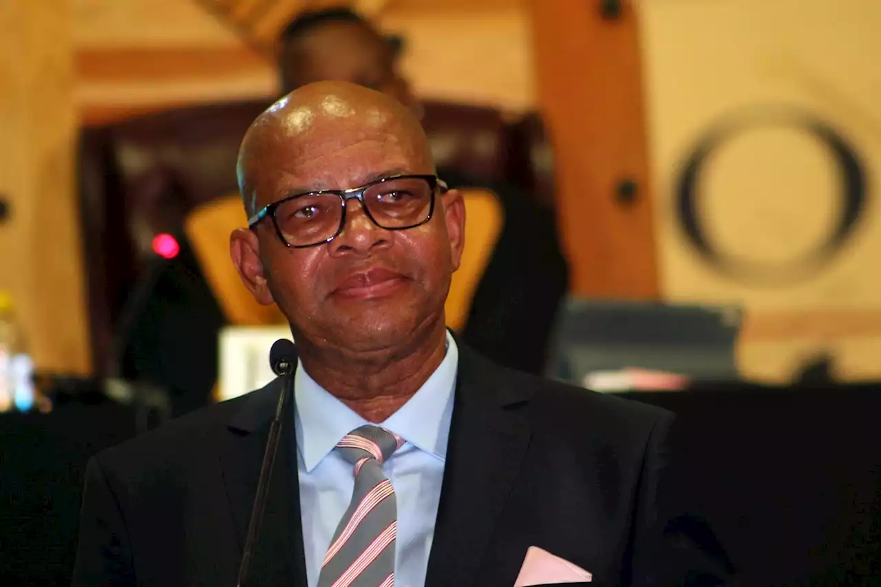 Court scolds Limpopo premier for bias | Citypress