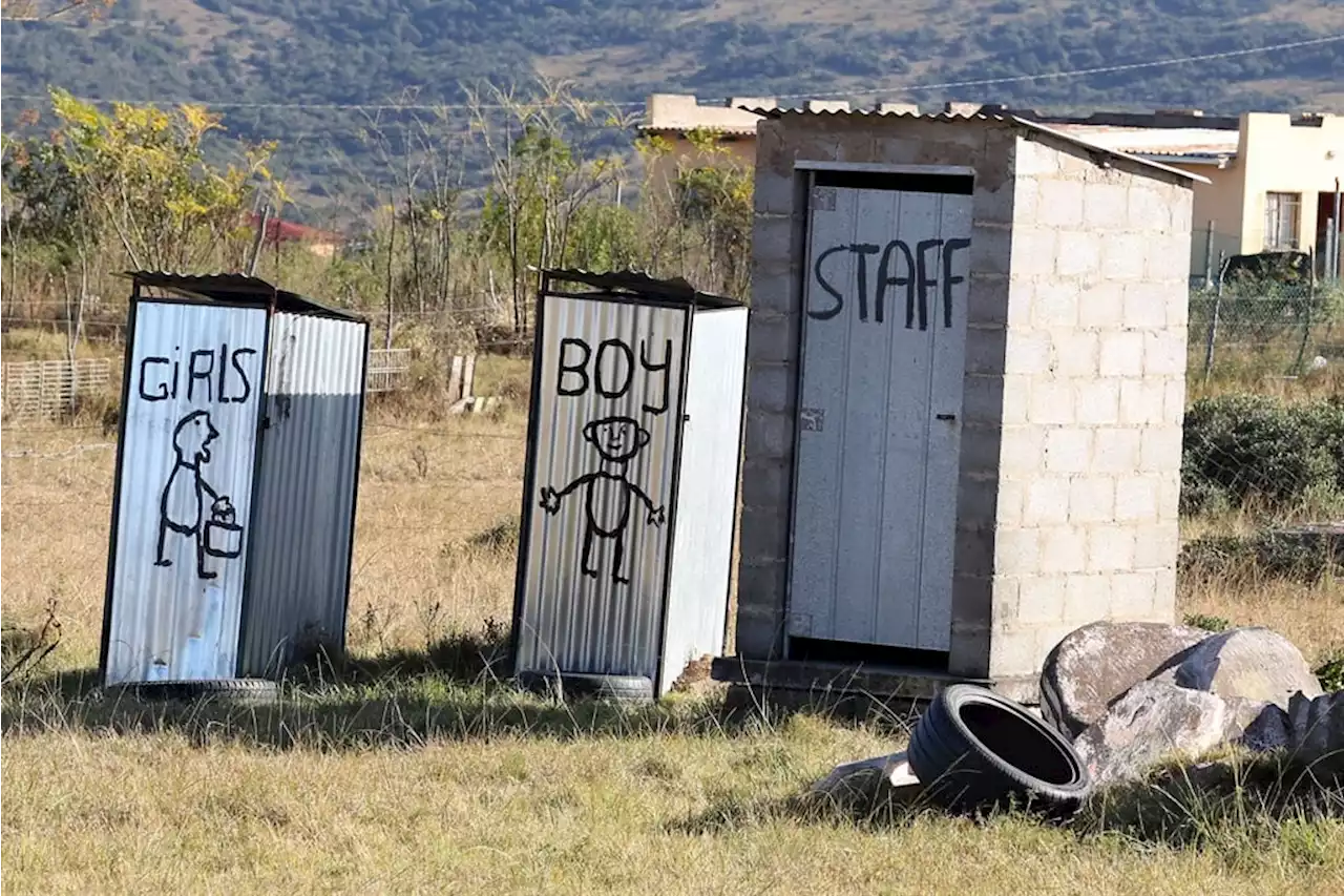 Unisex toilets at schools will help prevent bullying of gender diverse pupils - education dept | News24