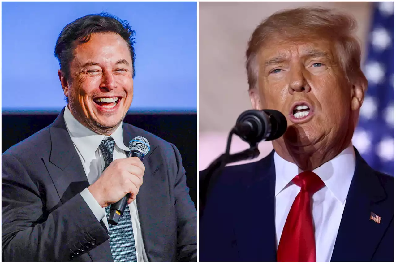 Trump Gains 25m Twitter Followers Overnight As Elon Musk Restores Account