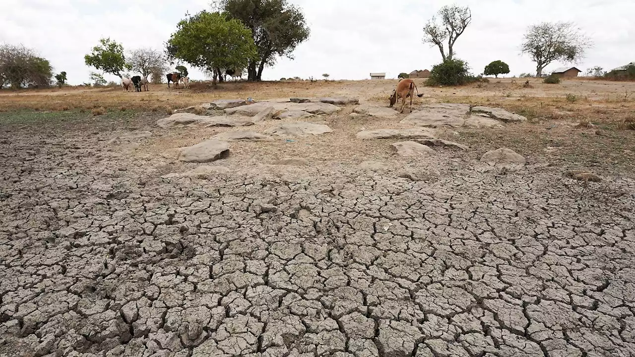 Klimakonferenz einigt sich auf Fonds gegen Klimaschäden