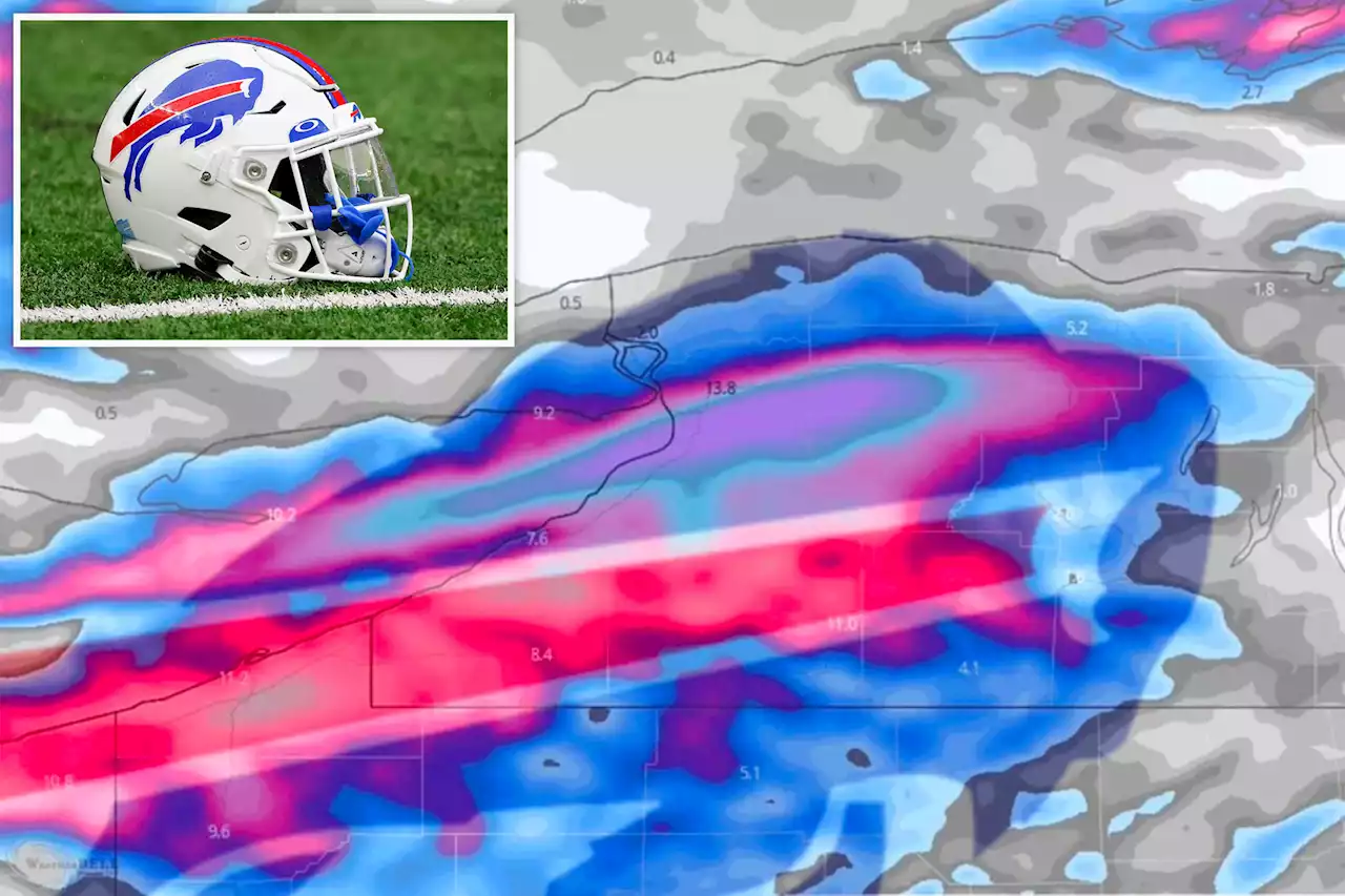 Bills fans see team logo in snowstorm weather radar