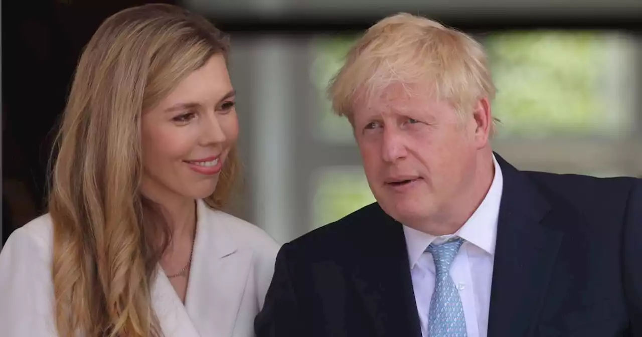 Carrie and Boris Johnson's son Wilfred has his dad's hair in Wonderland snap