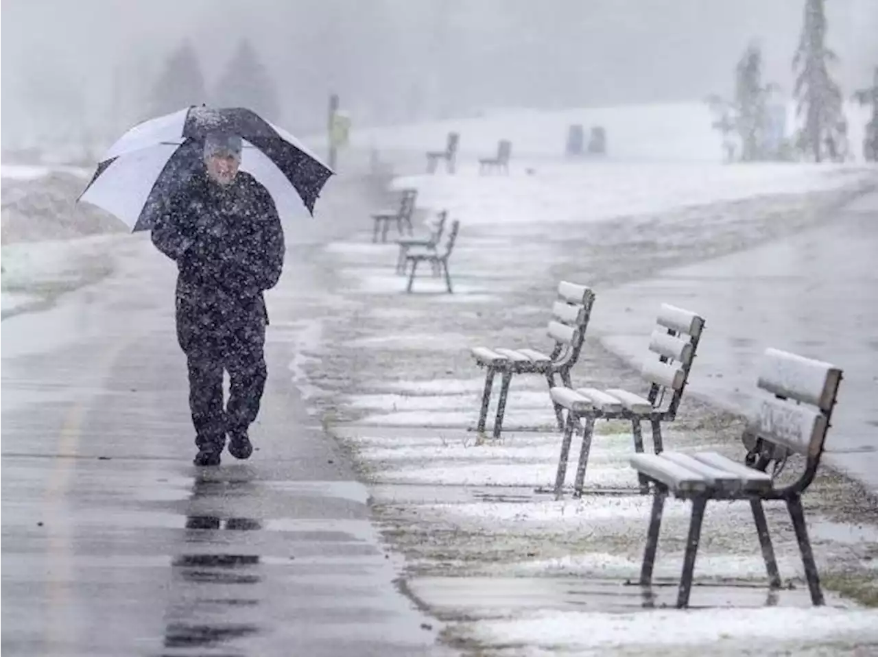 SUNDAY FORECAST: Ottawa area escapes brunt of heavy snow that hit Ontario