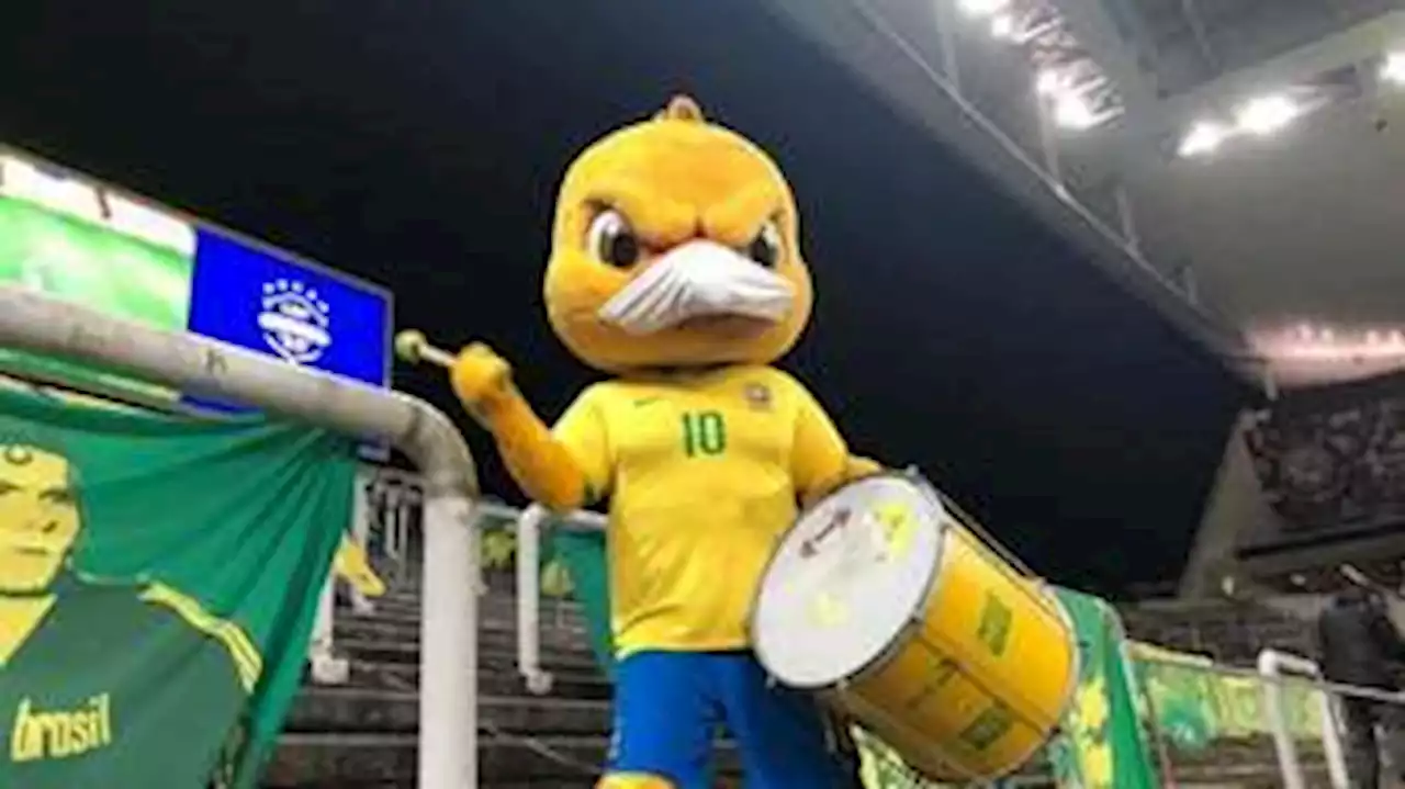 Canarinho Pistola é barrado em jogos do Brasil na Copa do Mundo; entenda