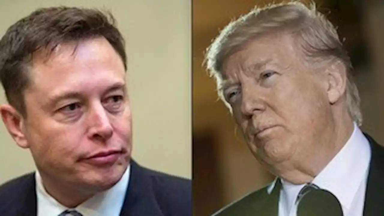 Elon Musk anuncia que vai restaurar a conta de Donald Trump no Twitter