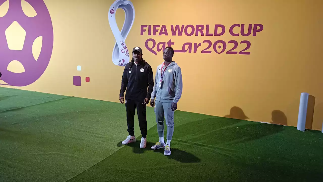 Cisse says Lions won’t change for Netherlands
