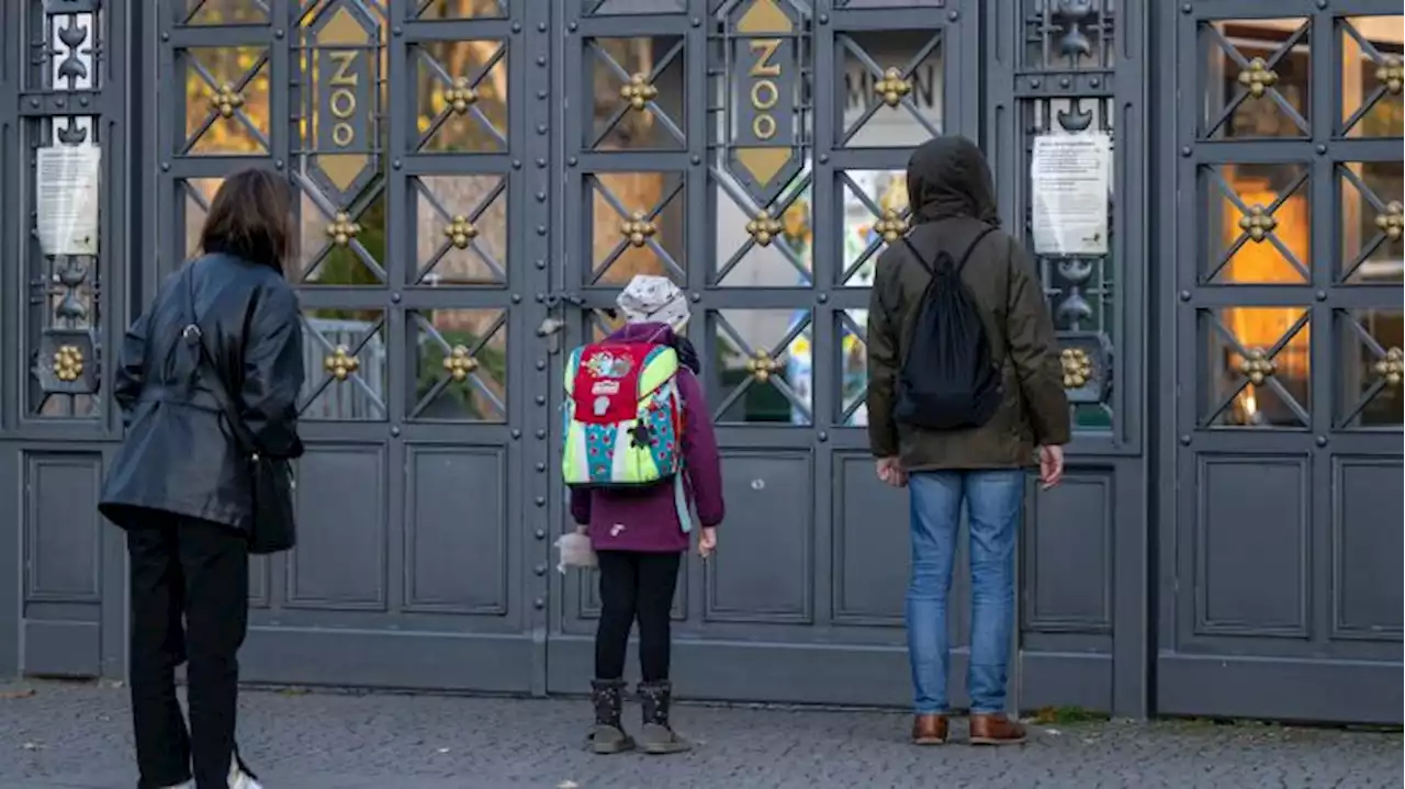 Berliner Zoo bleibt mindestens zwei Wochen geschlossen