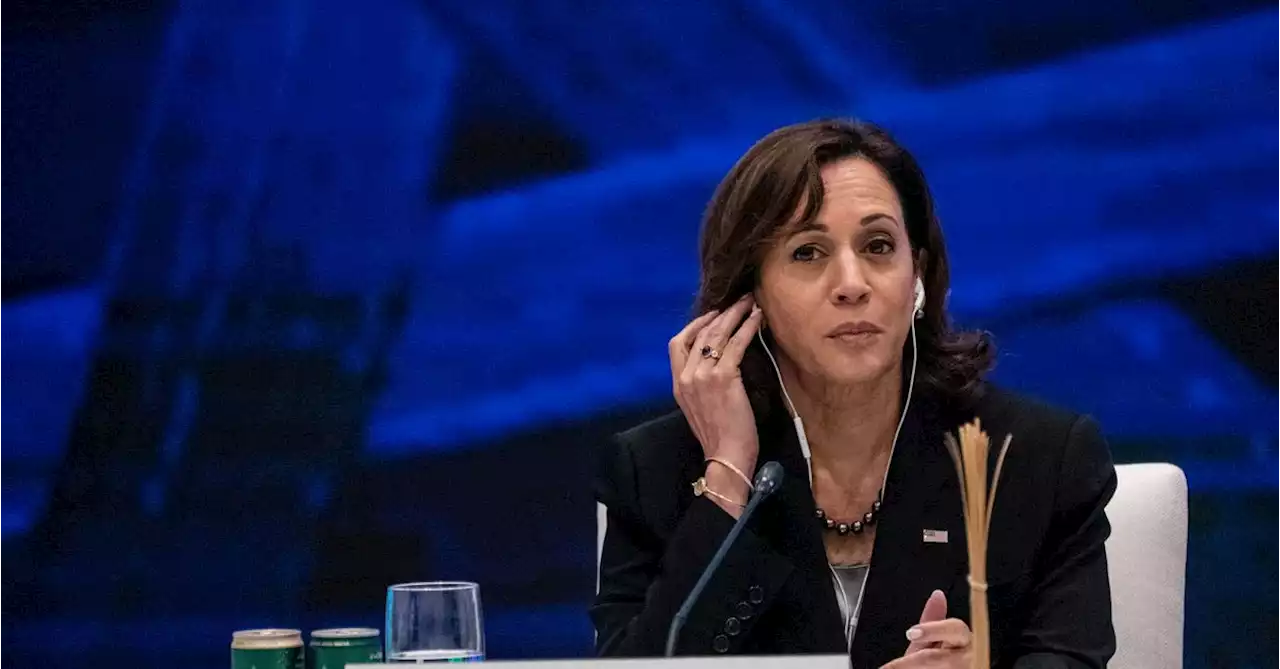 US VP Harris announces $20 mln new clean energy funding for Mekong region