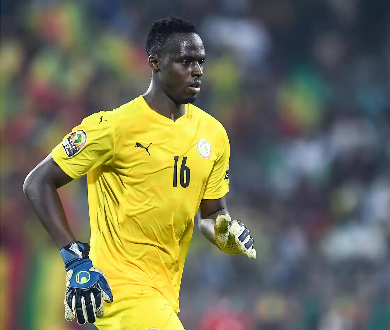 Coupe du monde 2022 : le programme de lundi 21 novembre avec Sénégal - Pays-Bas