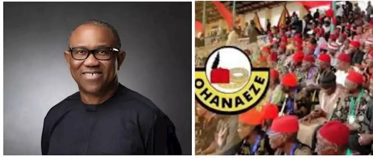 Ohanaeze Endorses Peter Obi For 2023 Presidency, Says Afenifere Faction Supporting Tinubu Represents Darkness, Bleak Future | Sahara Reporters