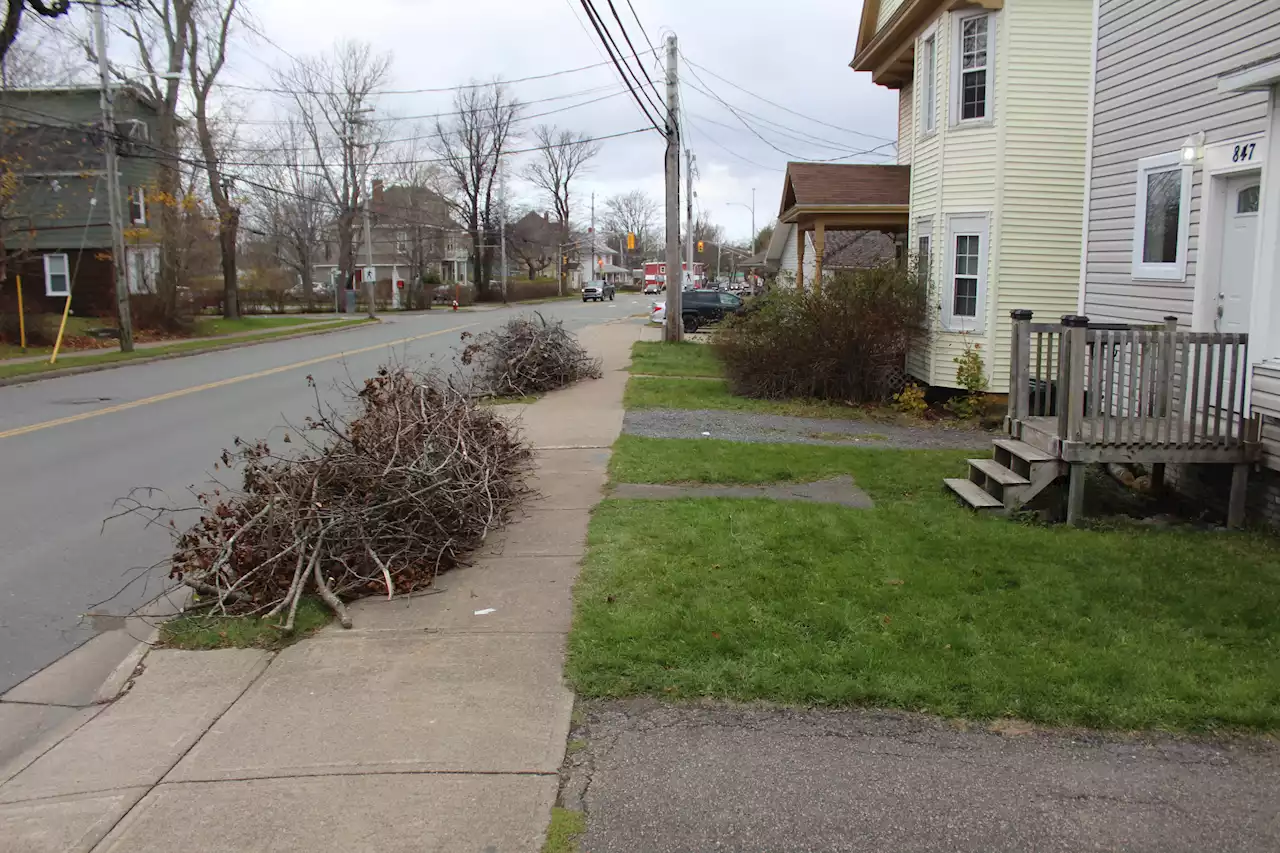 CBRM urging residents to call for storm debris pickup | SaltWire