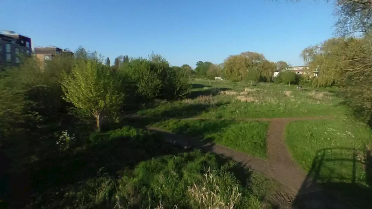 Hunt under way for attacker after boy, 17, stabbed to death at nature reserve in Cambridge