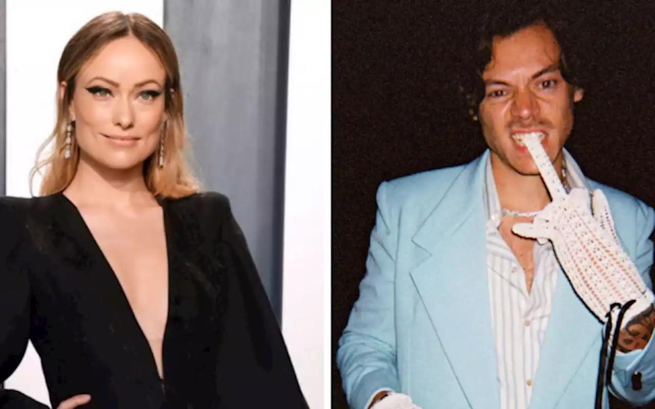 Where Do Olivia Wilde and Harry Styles Stand Post-Breakup? | Stellar