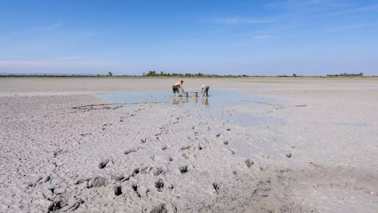 Wenig Regen, wenig Wasserkraft: Woher Österreichs Strom im Sommer kam