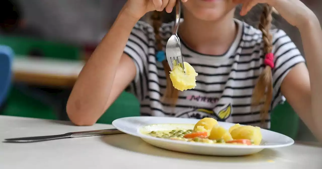 Homburg: Warum das Schulessen im Saarland immer teurer wird – besonders bei Bio