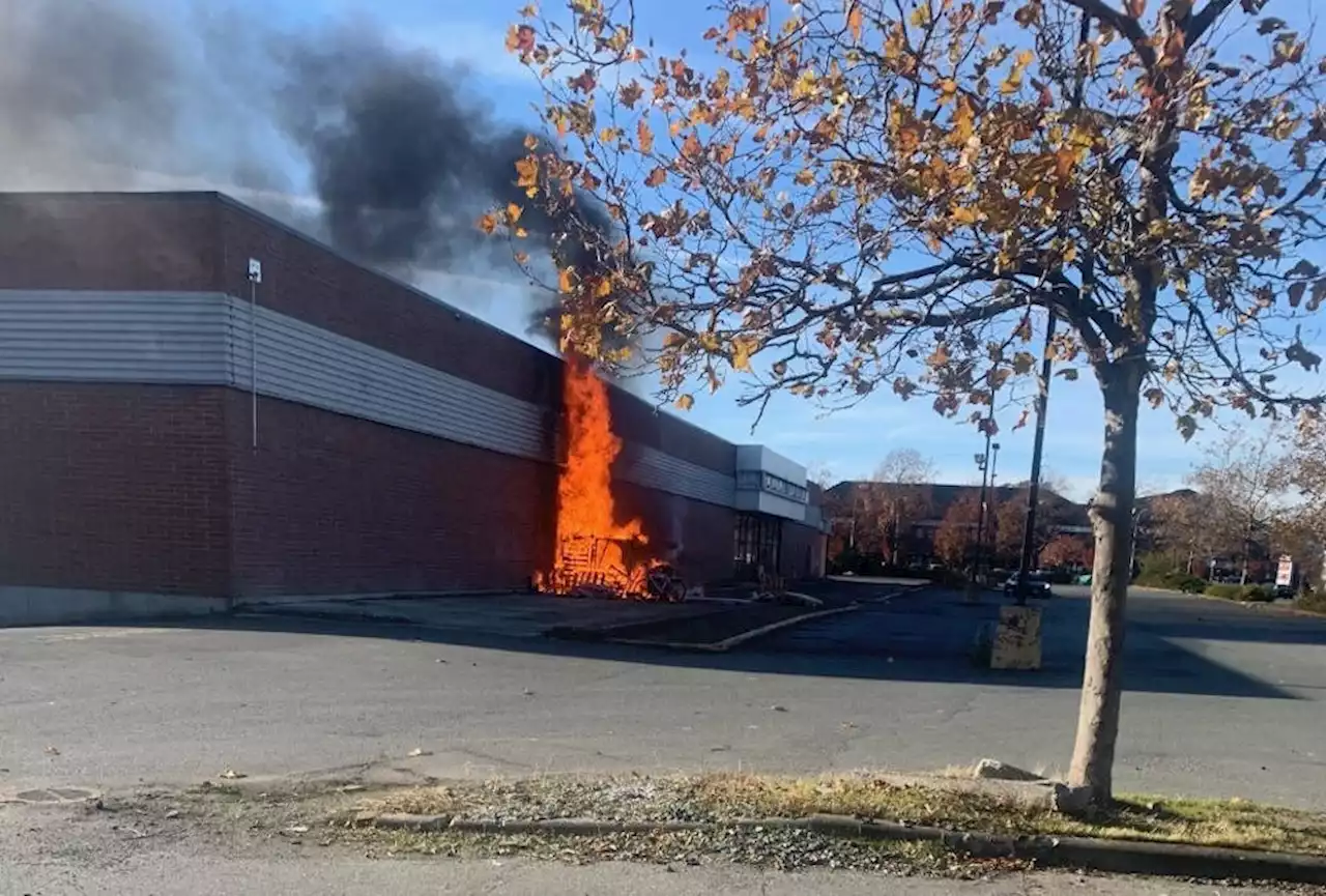 Fire destroys makeshift shelter, damages former Canadian Tire store on Douglas Street