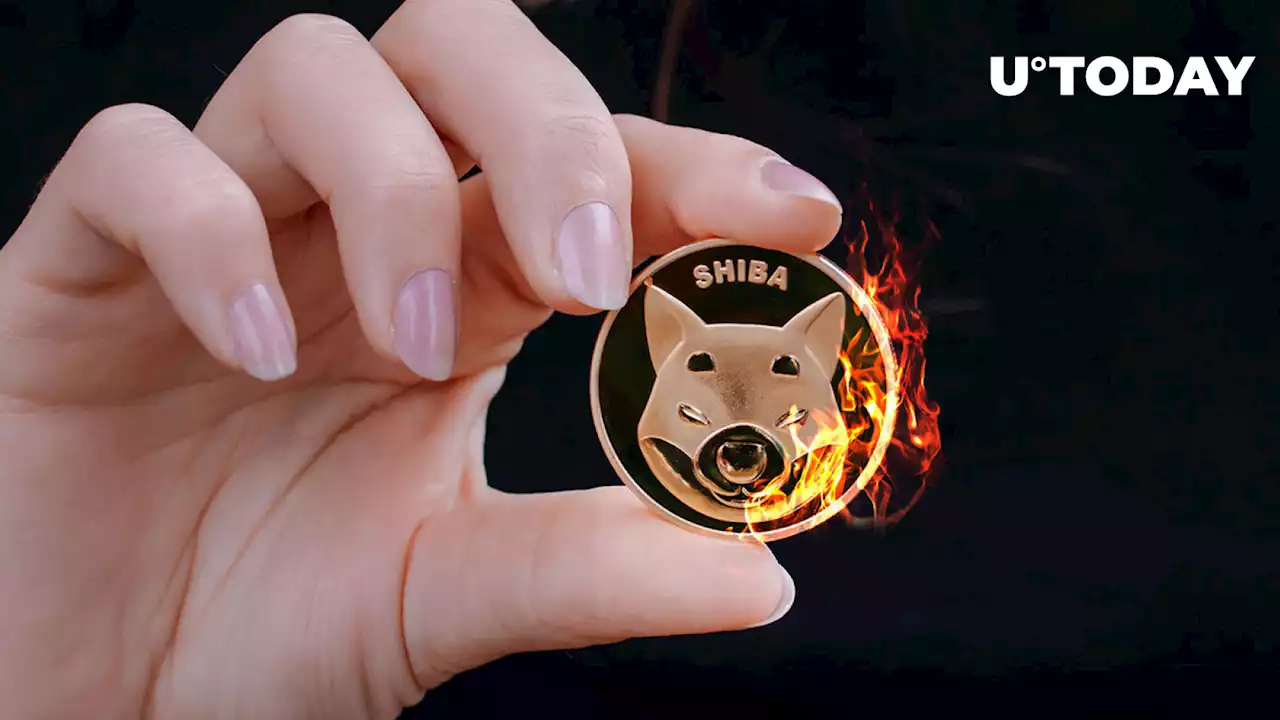 Shiba Inu Burn Rate Spikes by 121%, Price Reacts