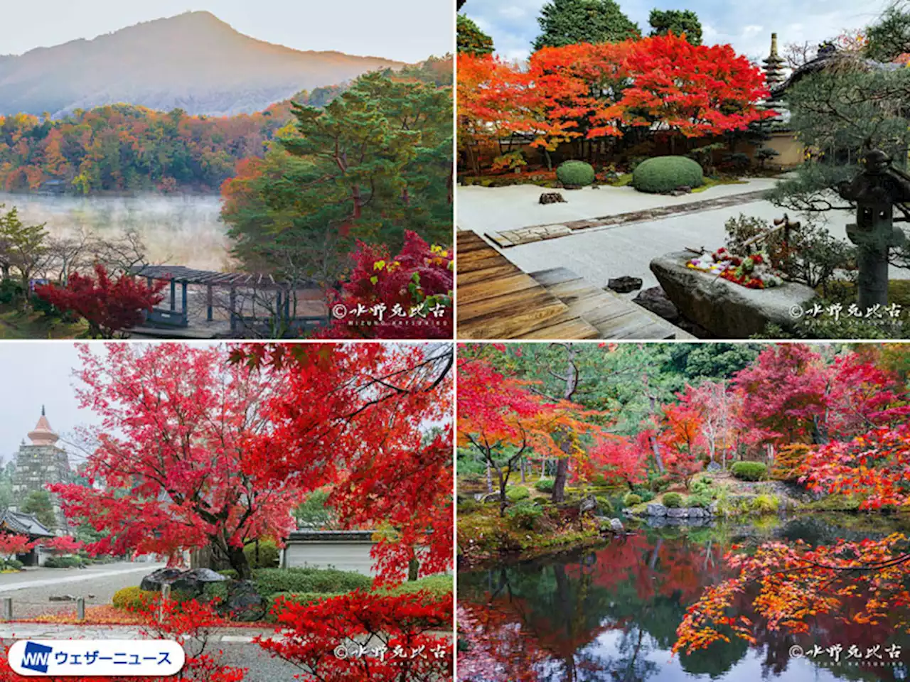 京都を撮り続けて50年！ 写真家・水野克比古氏オススメの紅葉穴場スポット4選