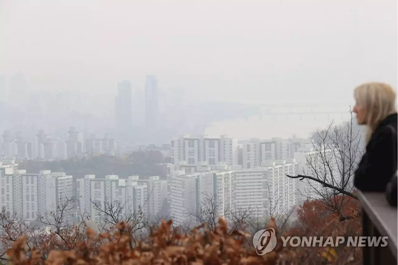 주택으로 종부세 내는 20대 이하 금수저 최소 1천900명 | 연합뉴스