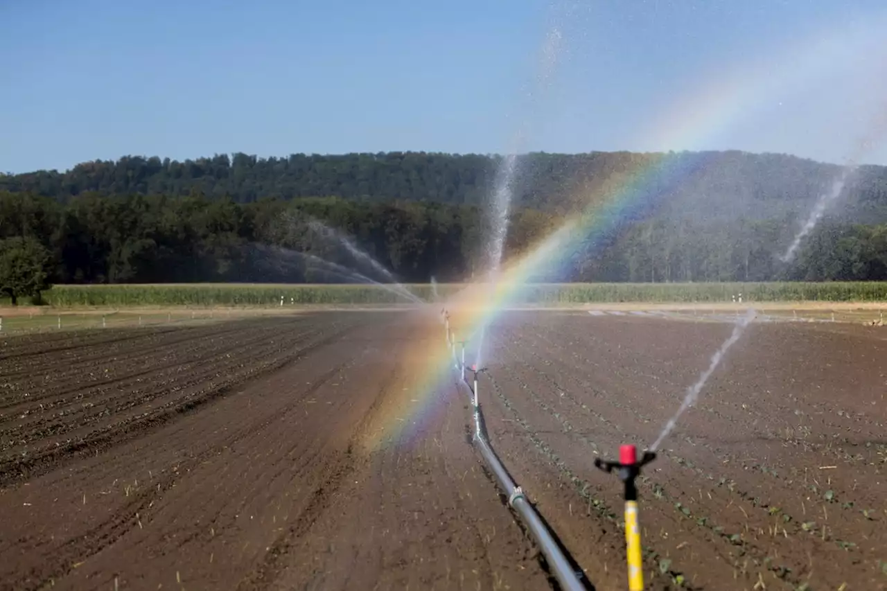 Aargau: Wie kann Regenwasser besser gespeichert werden?