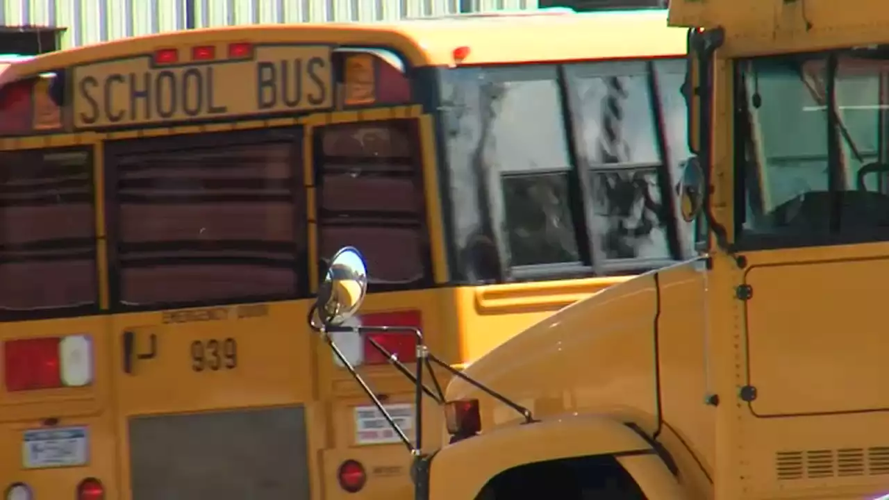 New York City Council holds hearing on issues with school bus transportation