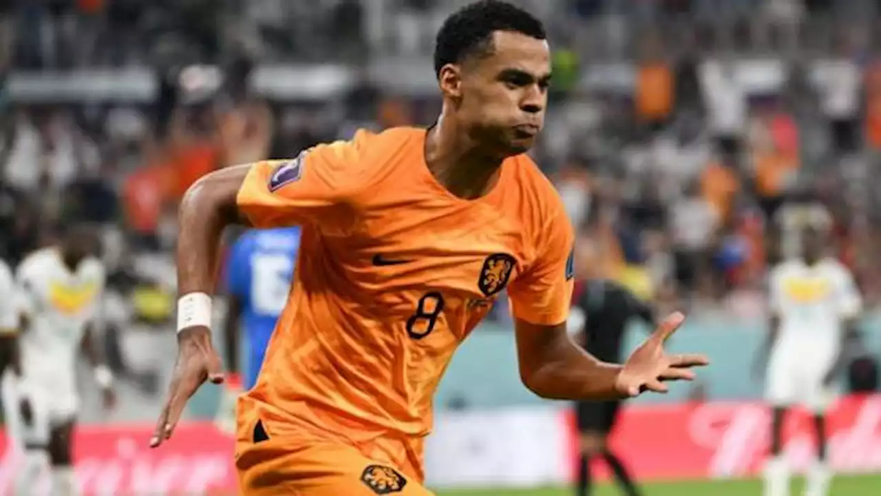 Late goals give Dutch victory over Senegal