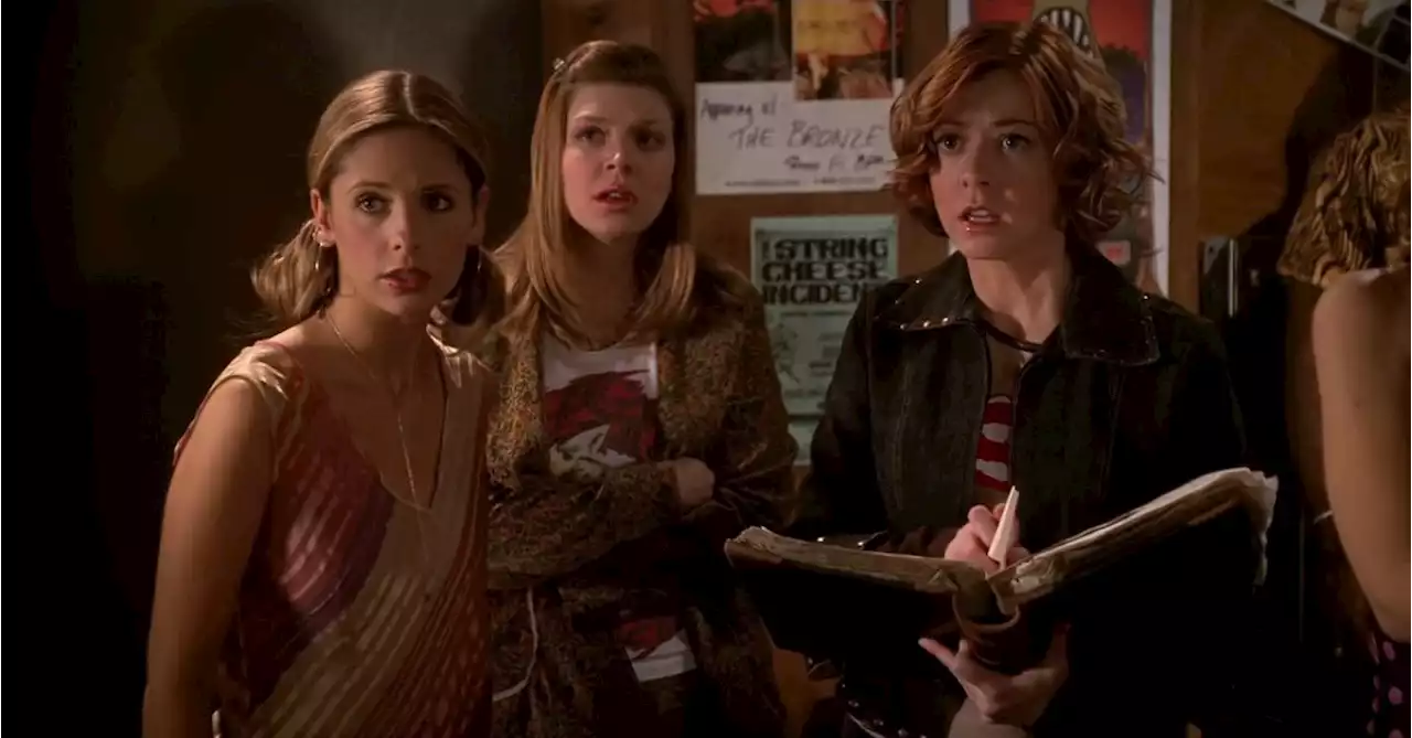 Buffy the Vampire Slayer: Freddie Prinze Jr. Has Never Seen An Episode