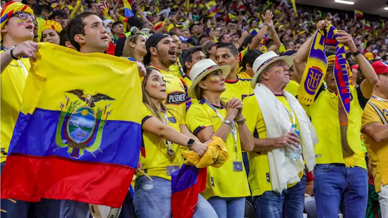 WM: Ecuador-Fan provoziert Katarer mit Geld-Geste