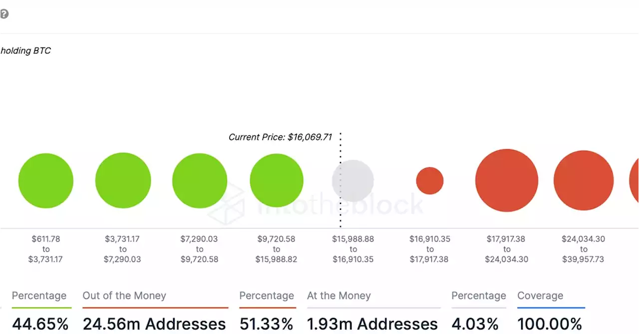 More Than 50% of Bitcoin Addresses Are Now in Loss