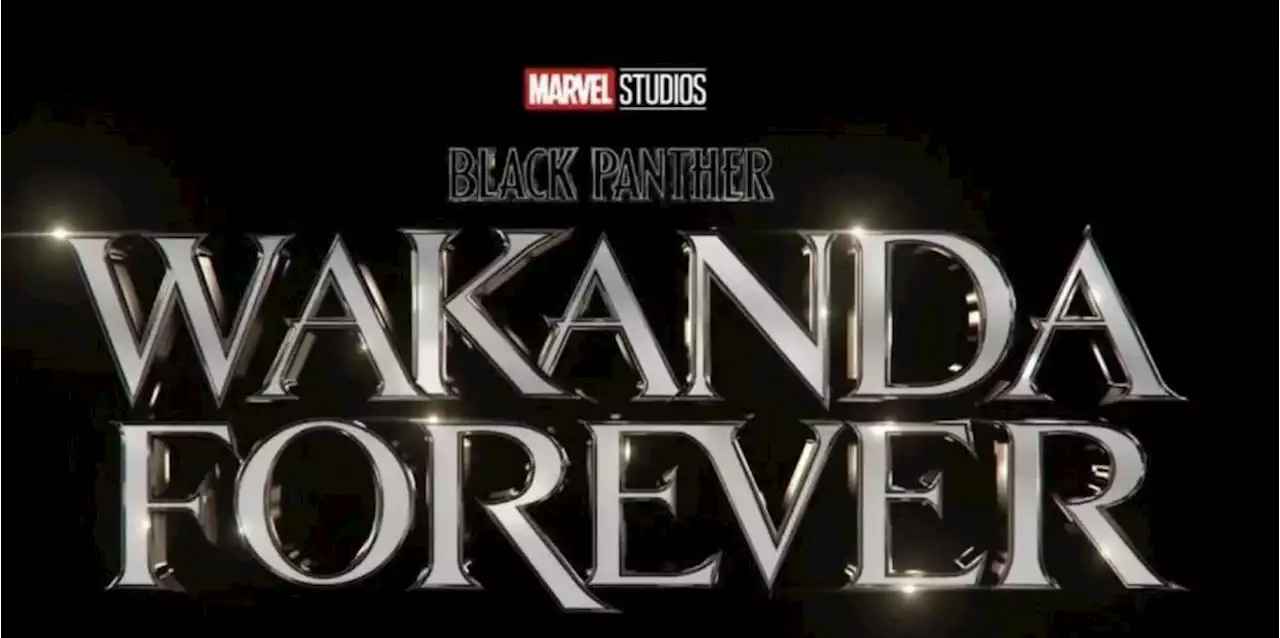 Black Panther: Wakanda Forever Star Originally Objected To Their Storyline