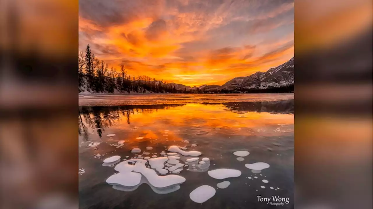 Calgary lingers near seasonal this week