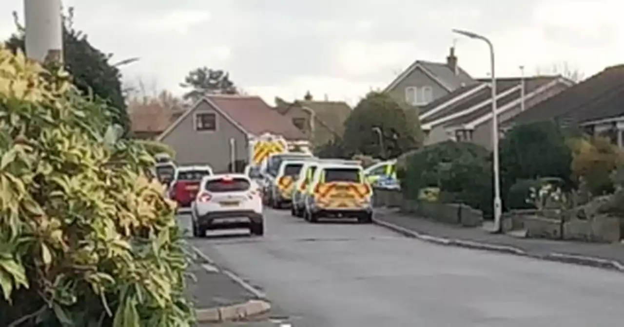 Armed police lock down Scots street over reports of ‘disturbance’ at property