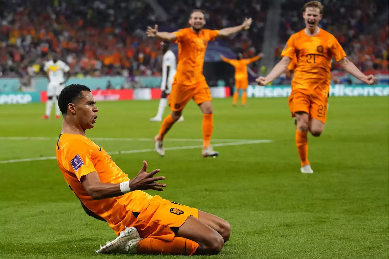 Netherlands strikes late to beat Senegal 2-0 at World Cup