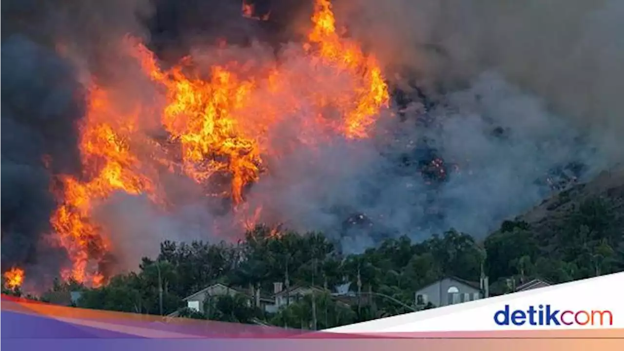 Efek Rumah Kaca: Pengertian, Penyebab, Dampak dan Upaya Pencegahannya