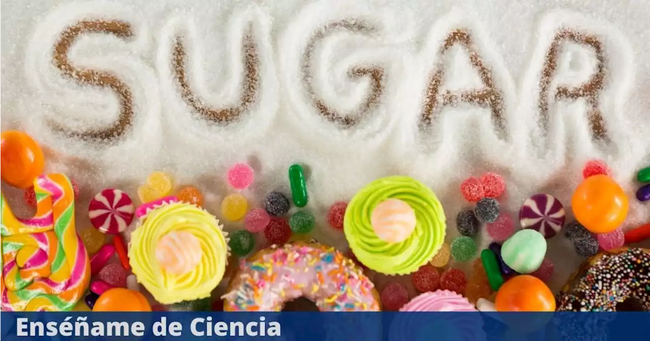 ¿Qué son los azúcares añadidos y por qué debes alejarte de los alimentos que los contienen?