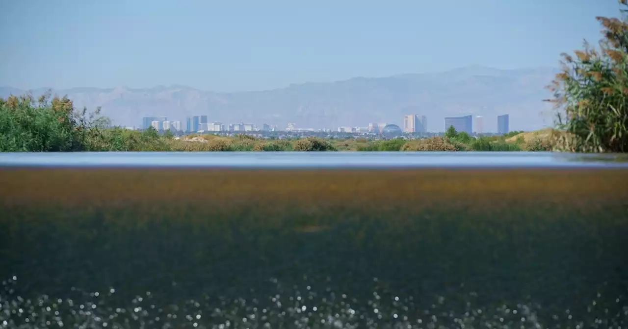 Lots of options for saving Great Salt Lake, but especially the simplest — use less water