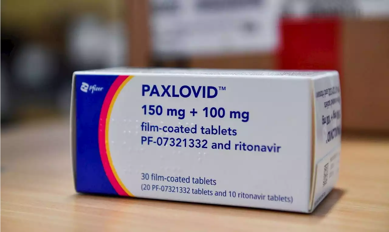 Paxlovid: Anvisa aprova venda em farmácias de remédio da Pfizer contra Covid