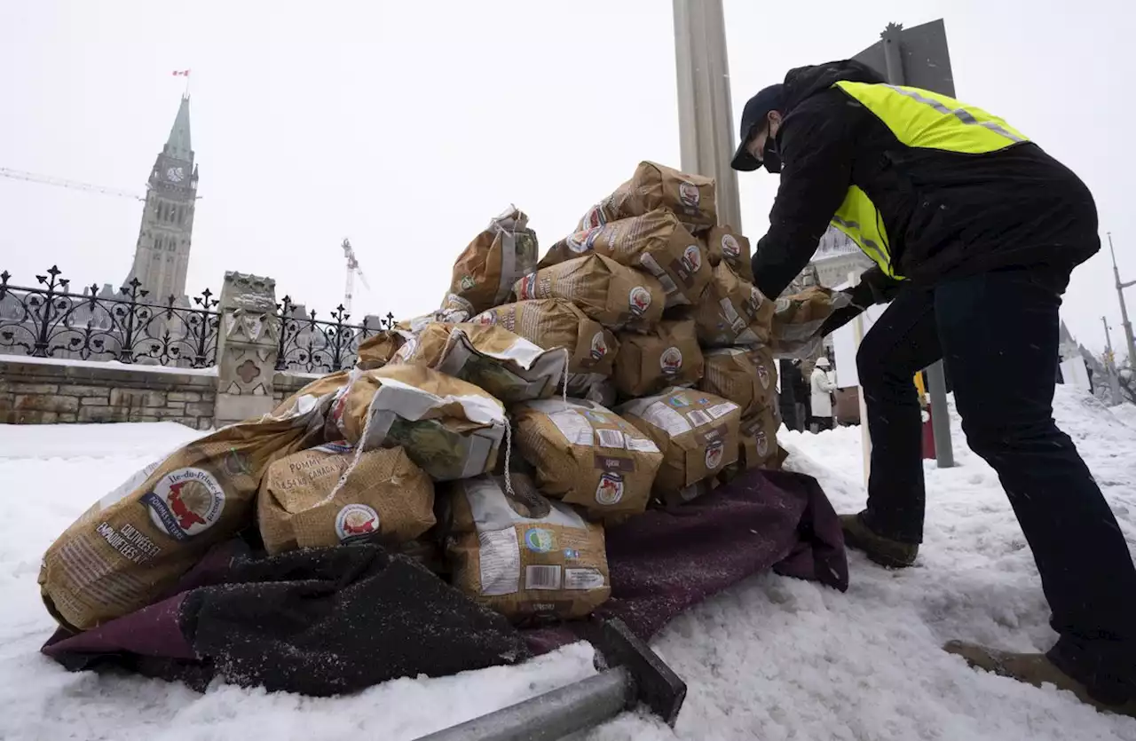 PEI potato farmers still feeling impact of last year’s export ban to the United States