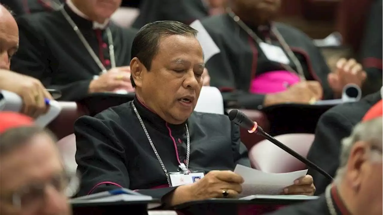 Cardinal Suharyo: Church in Indonesia encourages efforts toward authentic brotherhood