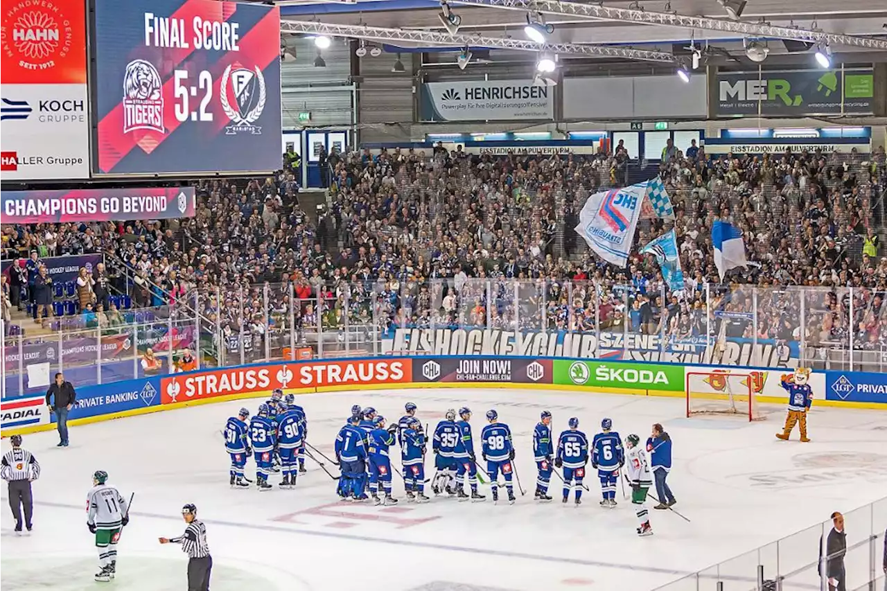 CHL-Rückspiel gegen Göteborg: Straubing Tigers vor dem Spiel des Jahres - idowa