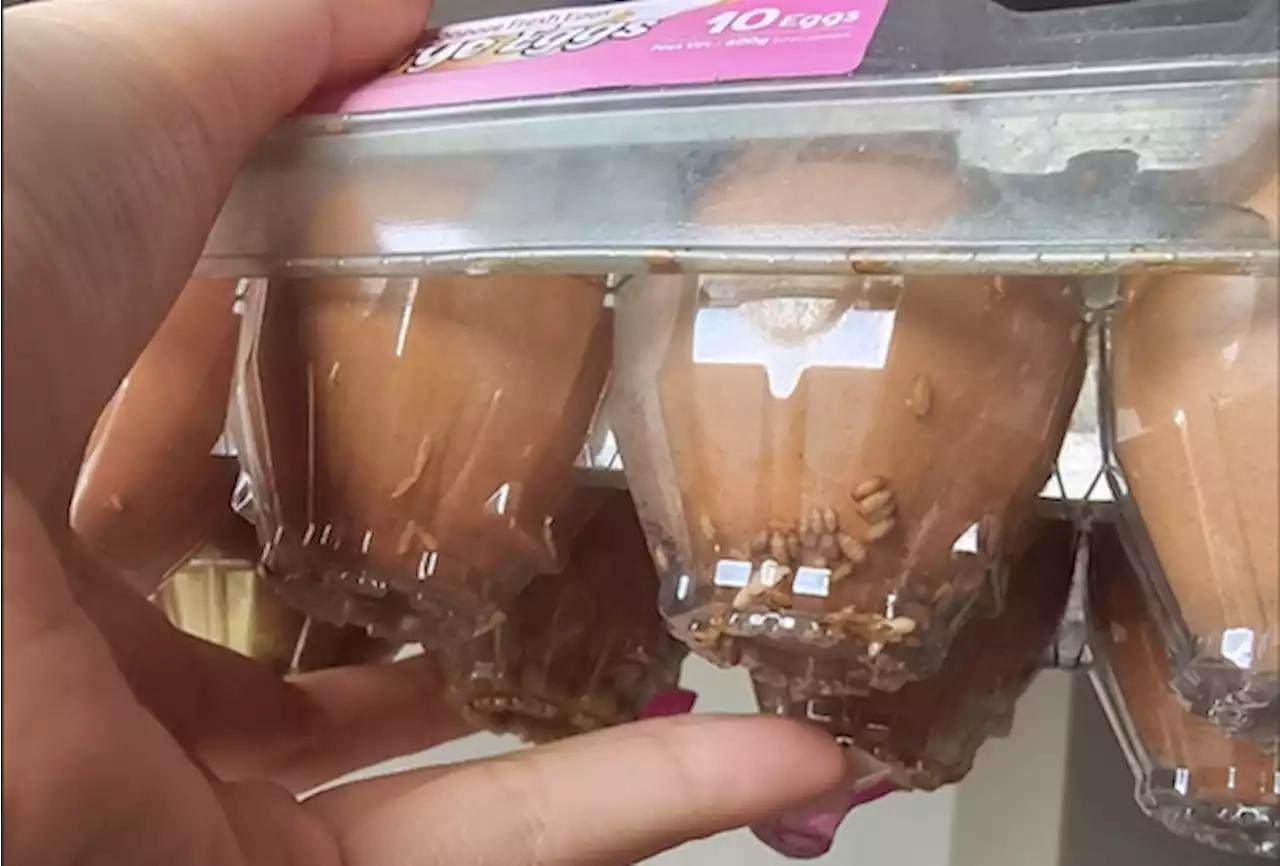 Shopper warns others after finding maggots in newly-bought package of eggs - Singapore News