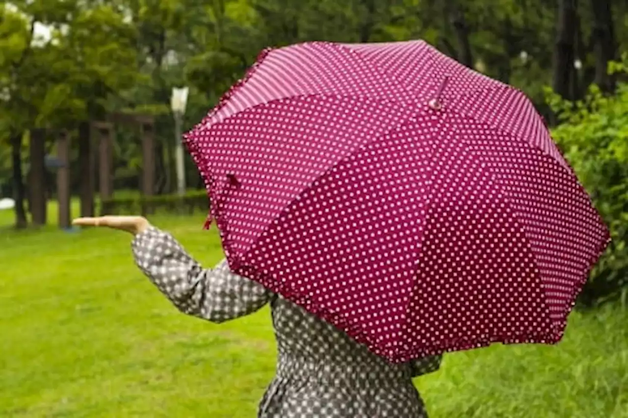 雨の日に繰り返された、ある犯罪。傍聴人も首をひねった「カッパ男」の犯行動機 - トピックス｜Infoseekニュース