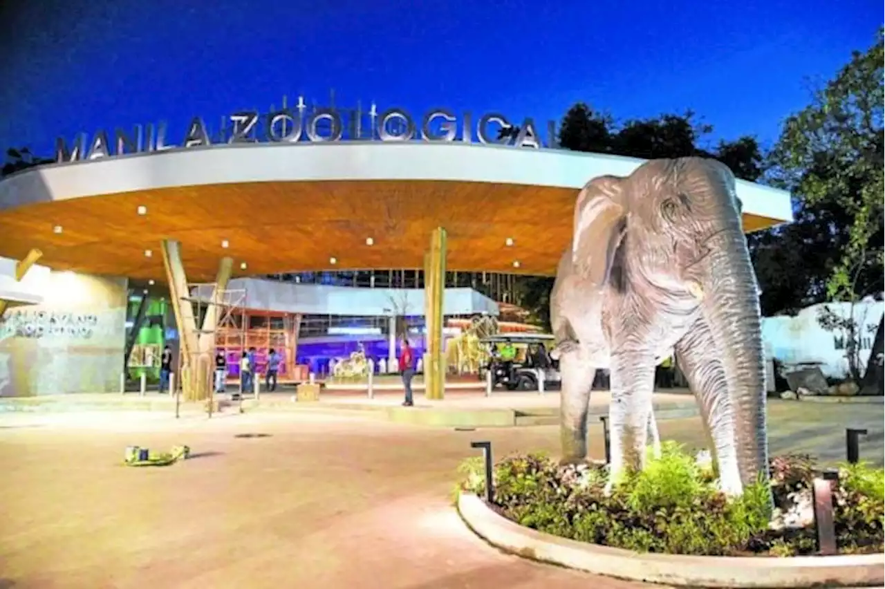 Manila Zoo reopens on Nov. 21